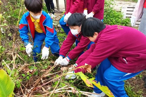 園藝治療戶外活動
